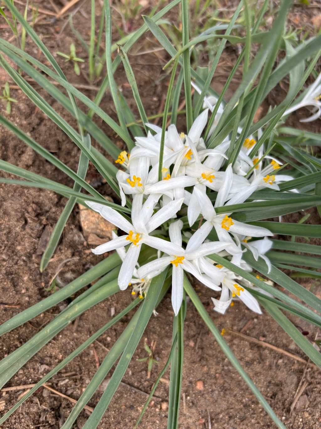 Episode 11: Christchurch,&nbsp;Colorado