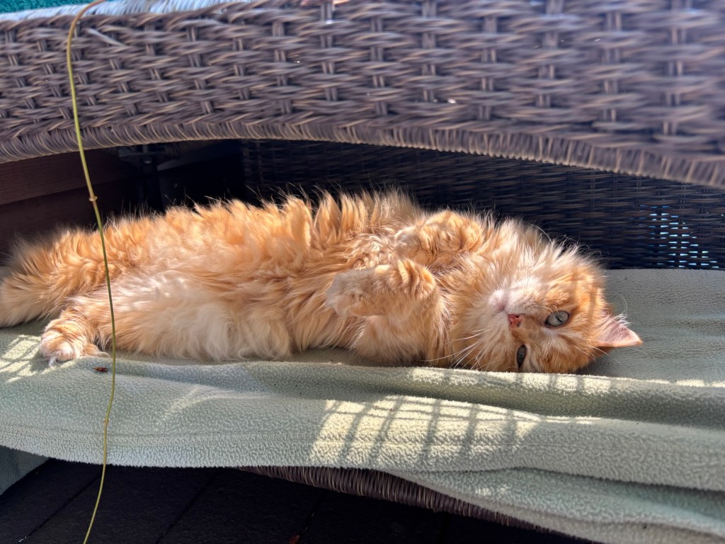 Episode 12: Colorado, Great&nbsp;Basin